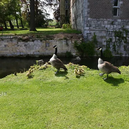 Bed & Breakfast Kasteelhoeve Borgharen - *