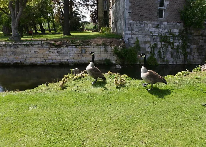 Bed & Breakfast Kasteelhoeve Borgharen - *